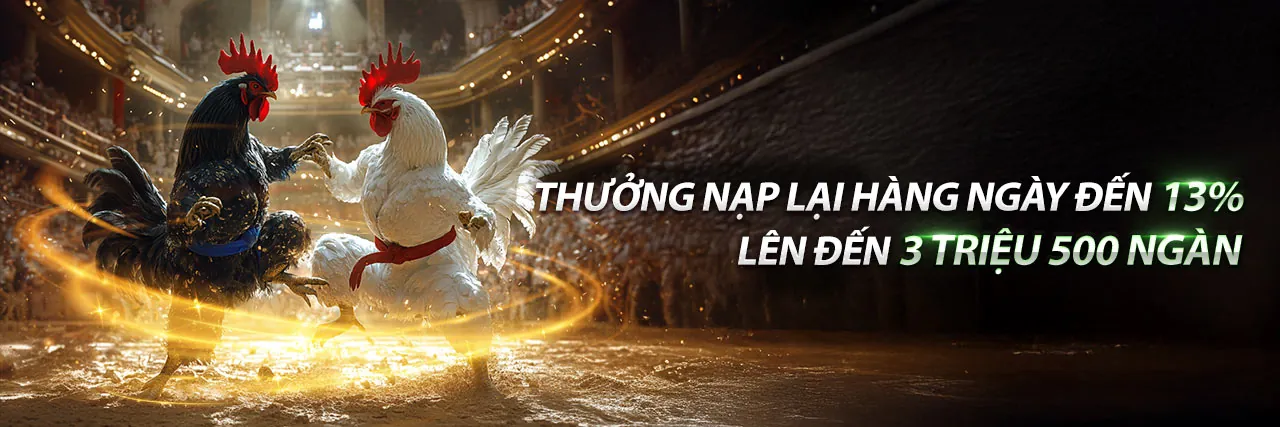 Sân đấu đá gà trực tuyến kịch tính tại hm88w