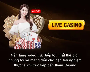 Thông tin chúng tôi thu thập tại hm88w